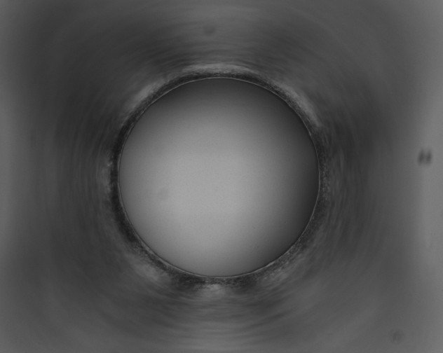 X0000089750111200707121350