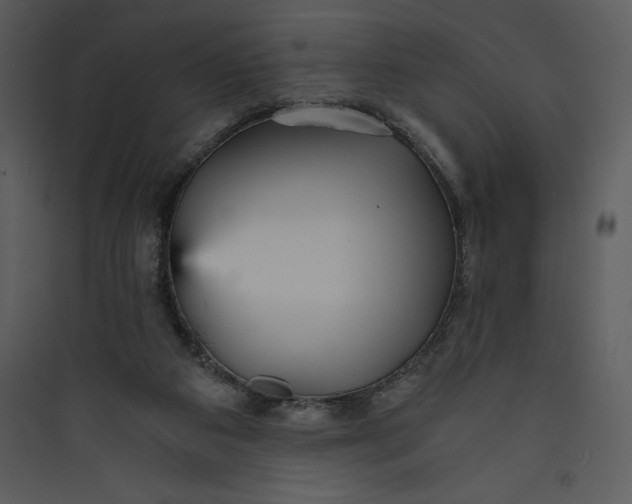 X0000089750113200707121350