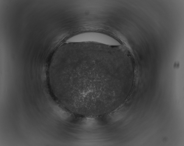 X0000089750114200707121350