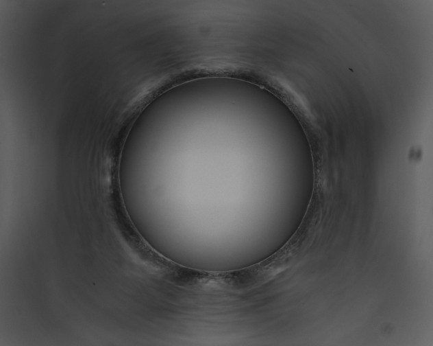 X0000089750115200707121350