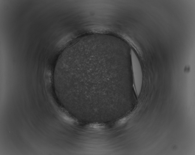 X0000089750117200707121350