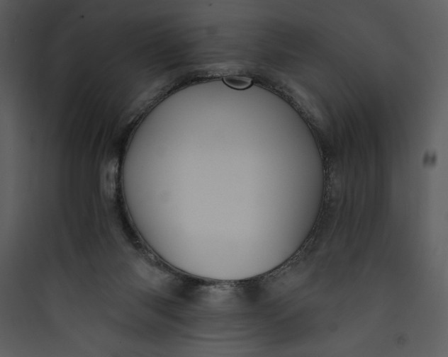 X0000089750118200707121350