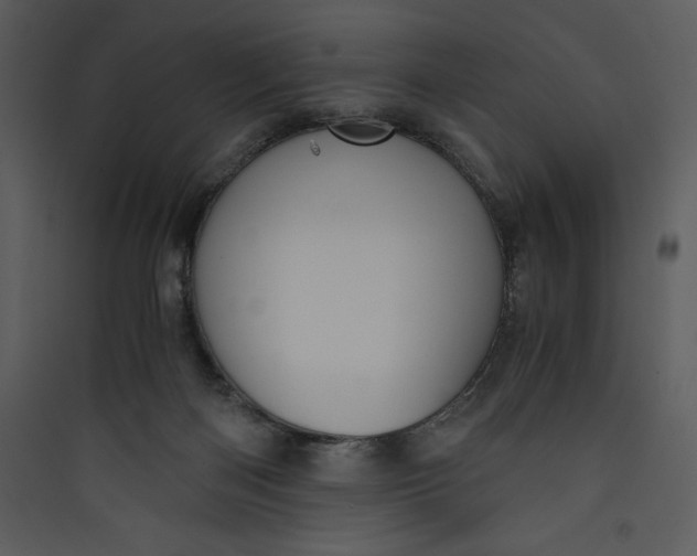 X0000089750122200707121350