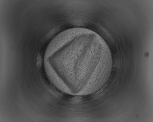 X0000089750124200707121349