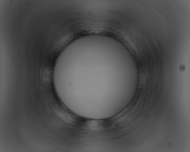 X0000089750126200707121349