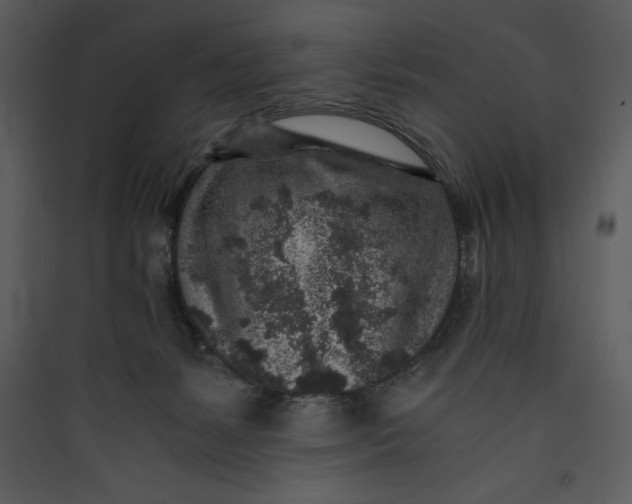 X0000089750127200707121349