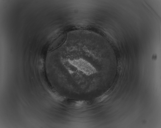 X0000089750130200707121349