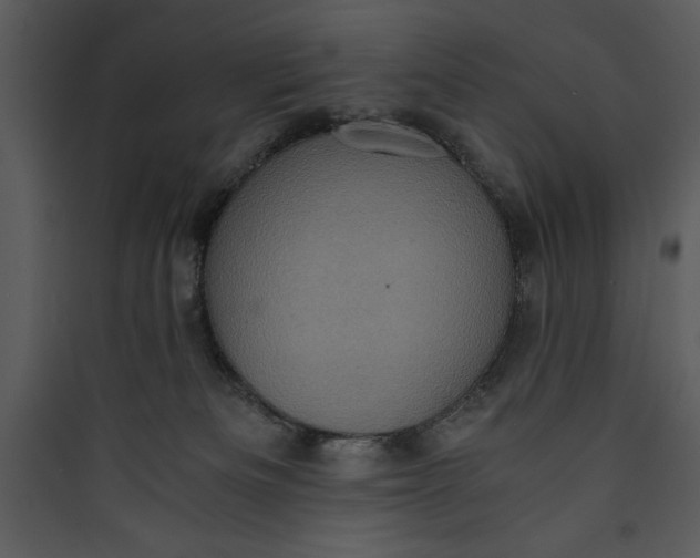 X0000089750133200707121349