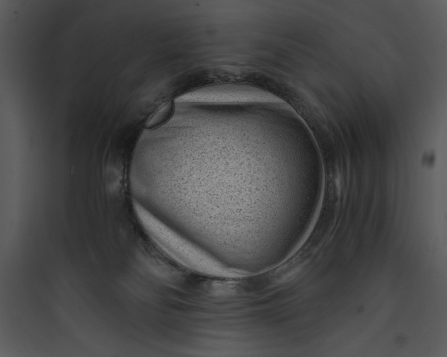 X0000089750134200707121349