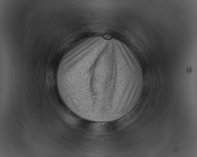 X0000089750136200707121349