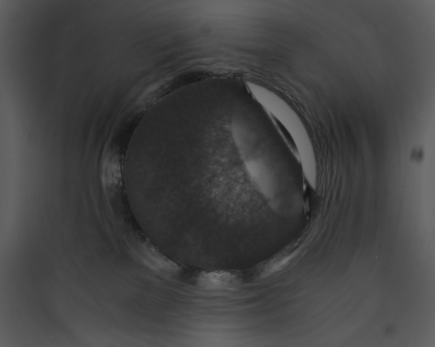 X0000089750137200707121349