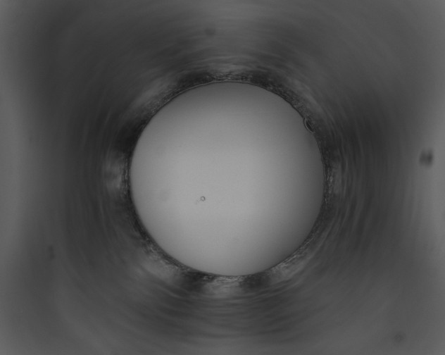 X0000089750138200707121349