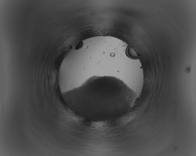 X0000089750139200707121349