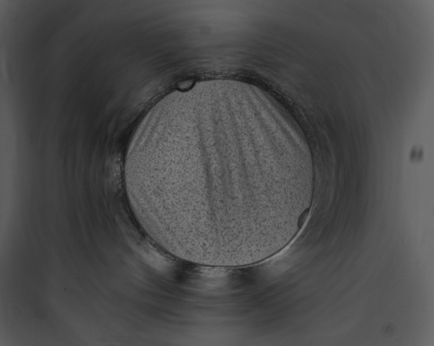 X0000089750144200707121349