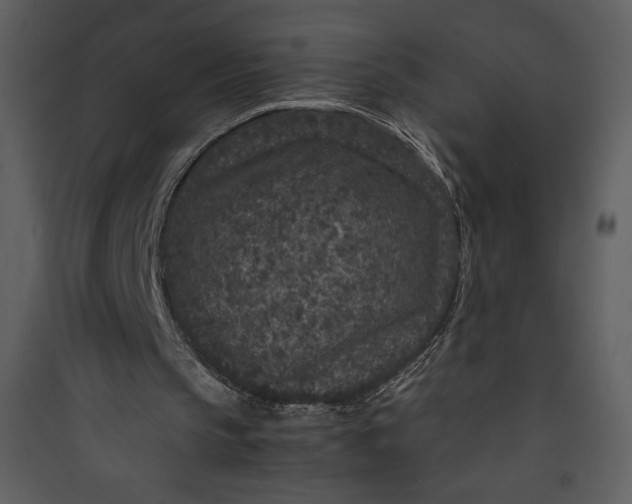 X0000089750145200707121348