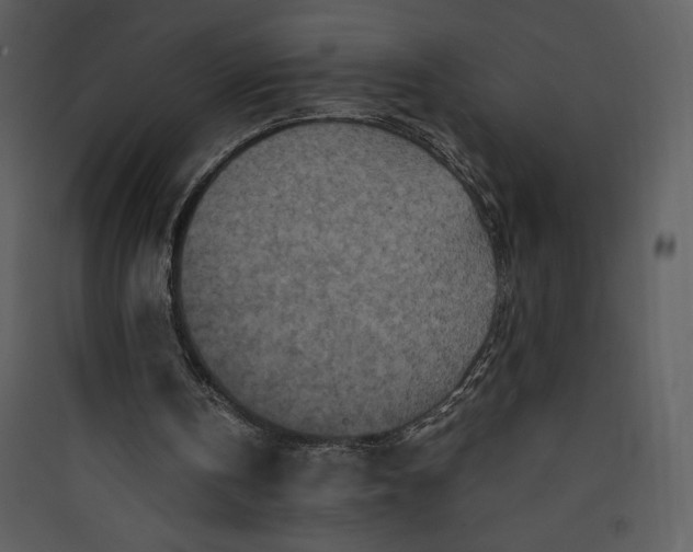 X0000089750146200707121348