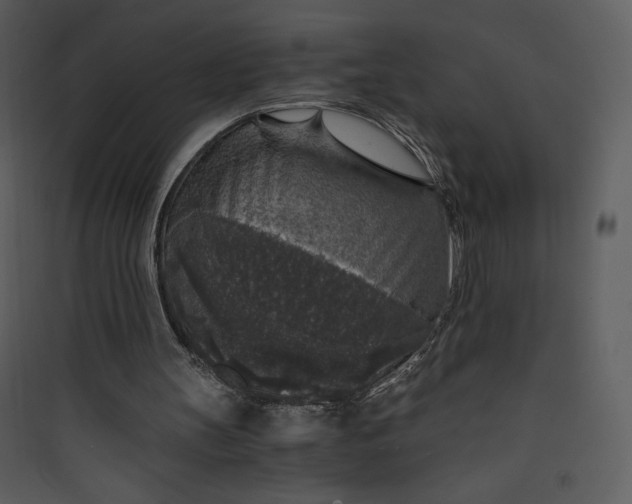 X0000089750147200707121348