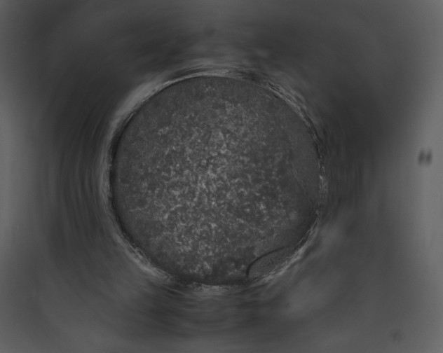 X0000089750149200707121349