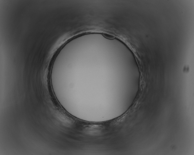 X0000089750151200707121349