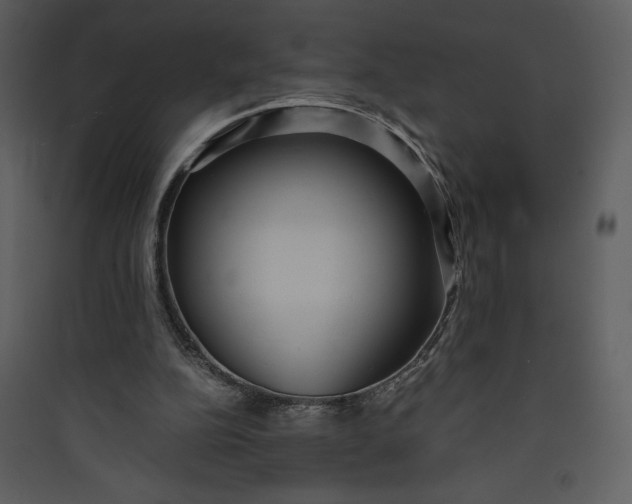 X0000089750152200707121349