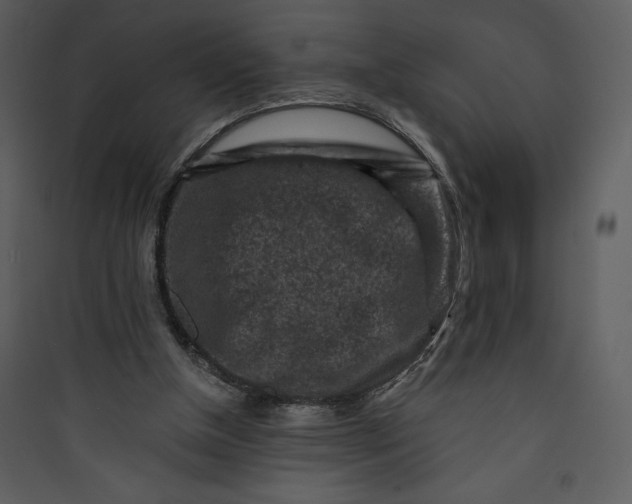 X0000089750154200707121349