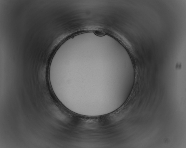 X0000089750155200707121349