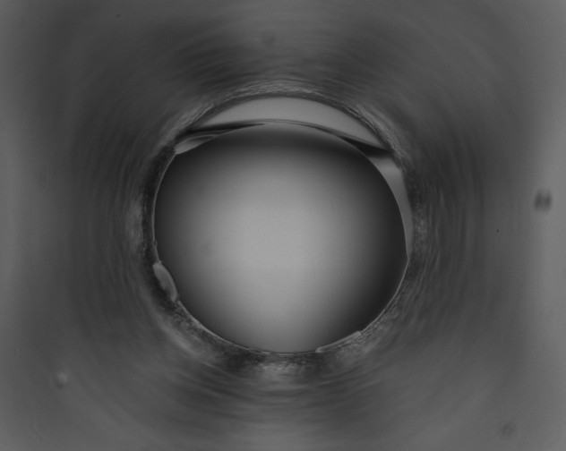 X0000089750158200707121349