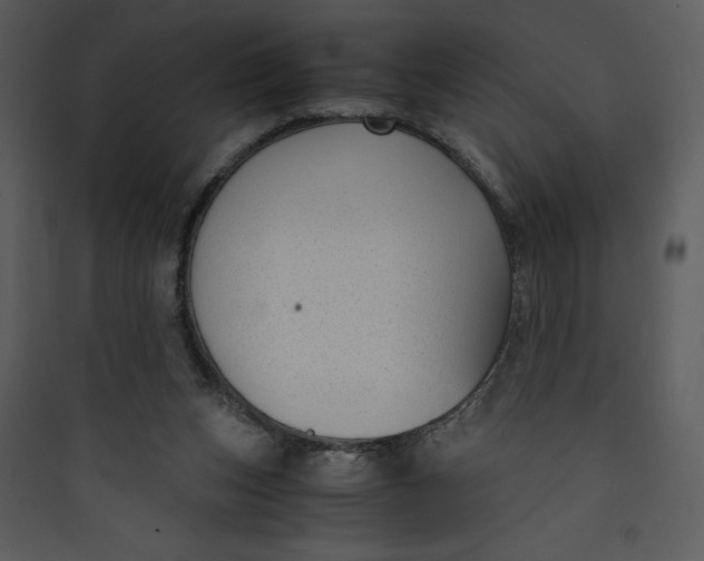 X0000089750159200707121349