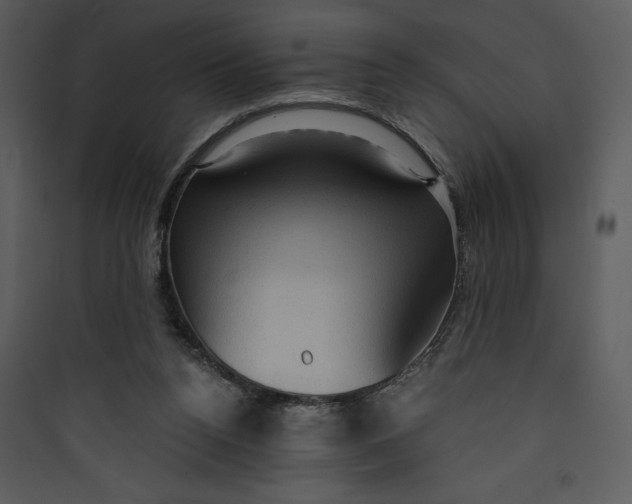 X0000089750160200707121349