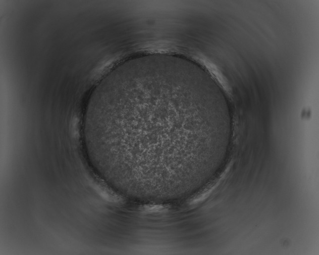 X0000089750161200707121349