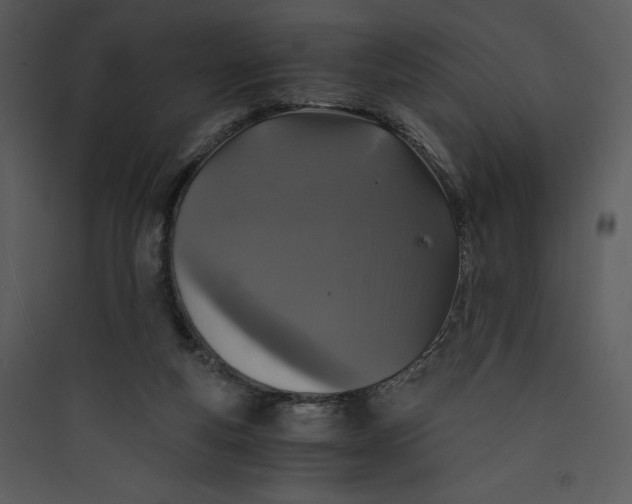 X0000089750163200707121349