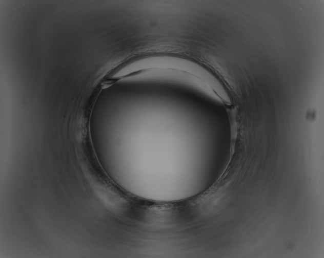 X0000089750164200707121349