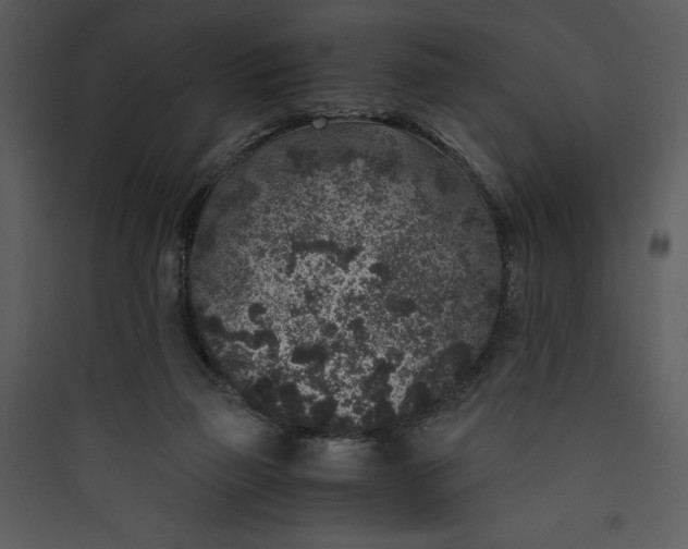 X0000089750165200707121349