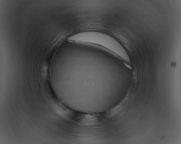 X0000089750166200707121349