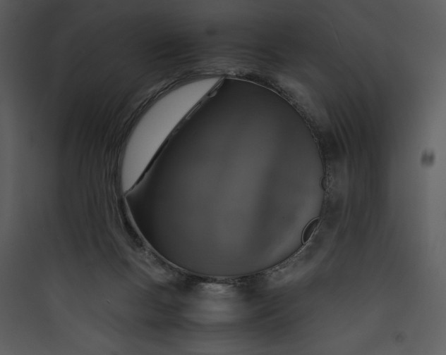 X0000089750167200707121349