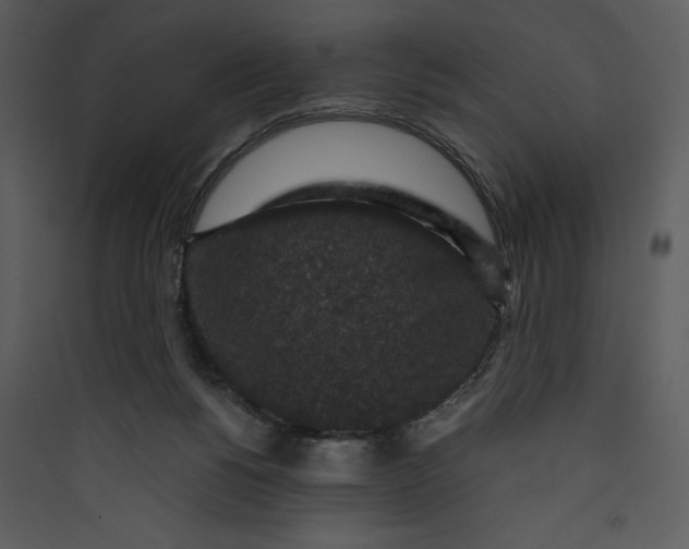 X0000089750168200707121349