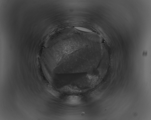 X0000089750169200707121349