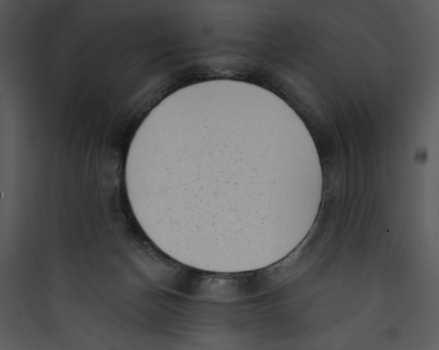 X0000089750174200707121349