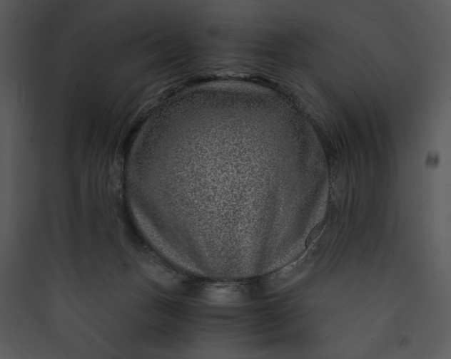 X0000089750175200707121349