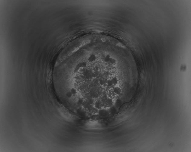 X0000089750177200707121349