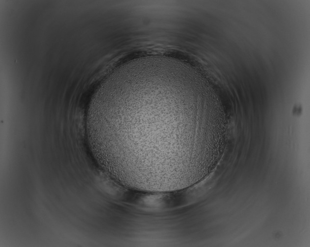 X0000089750178200707121349