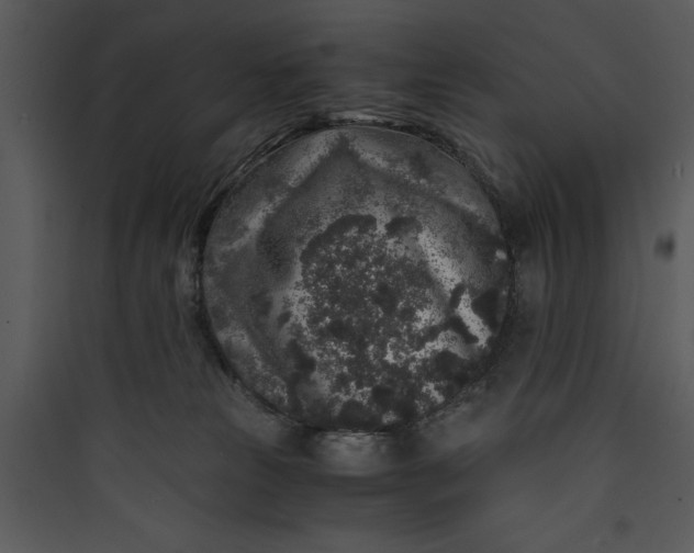 X0000089750181200707121349