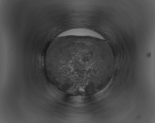 X0000089750182200707121349