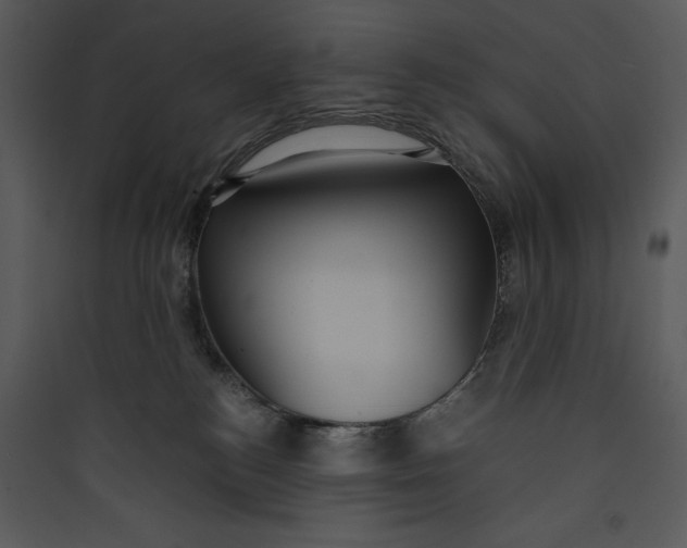 X0000089750184200707121349