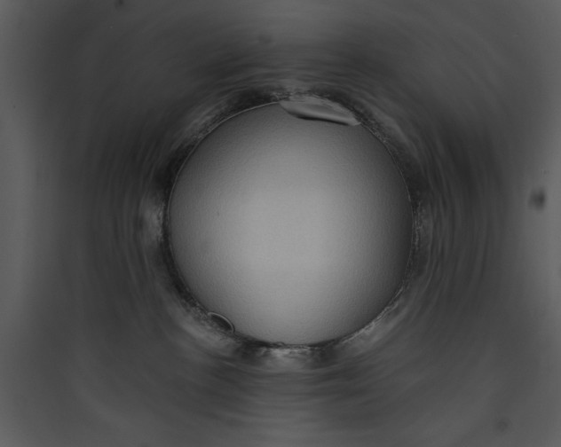 X0000089750188200707121349