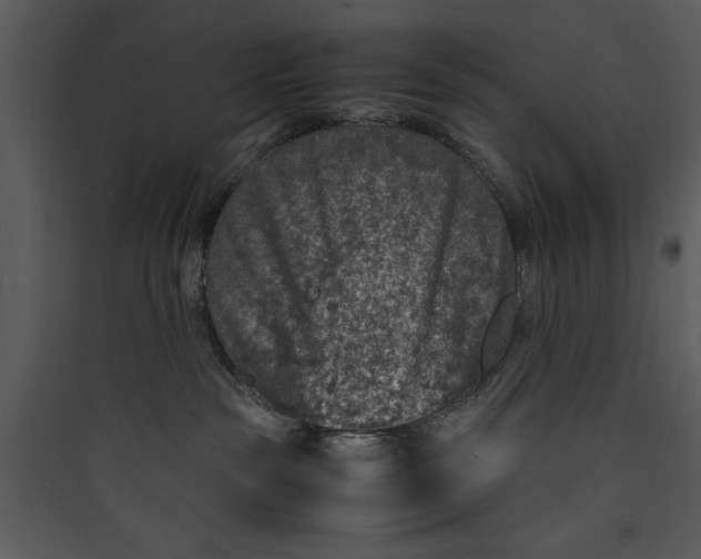 X0000089750189200707121349