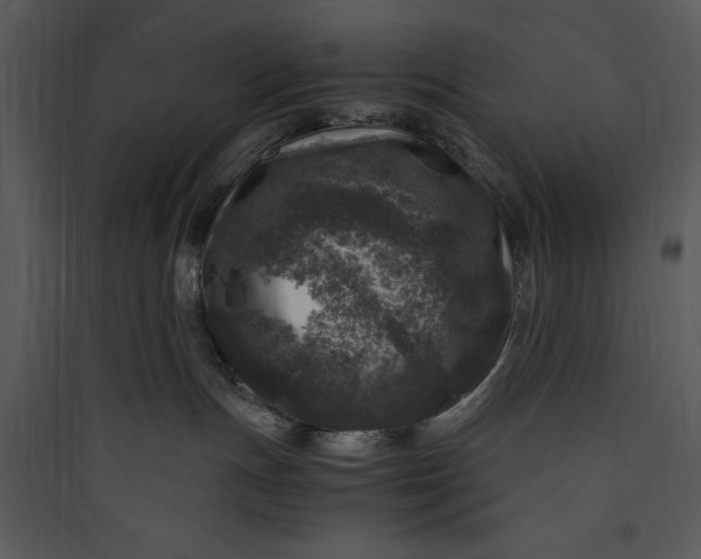 X0000089750191200707121349