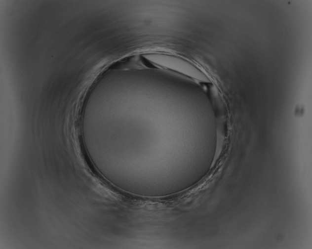 X0000089750193200707121348