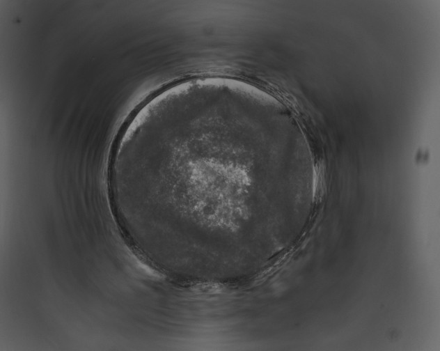 X0000089750195200707121348