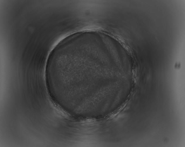 X0000089750196200707121348